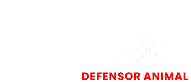 Vereador Willian Thor
